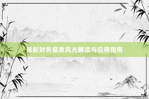 最新财务报表风光解读与应用指南