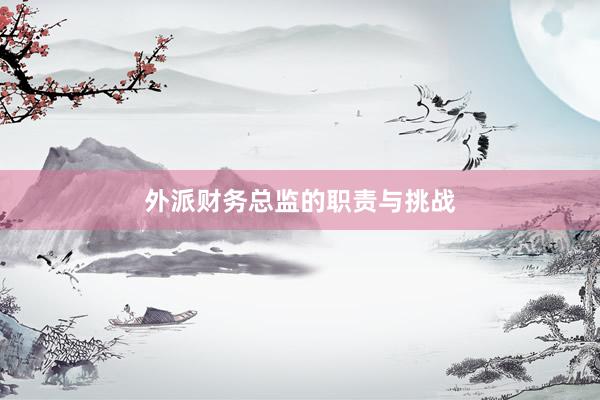 外派财务总监的职责与挑战