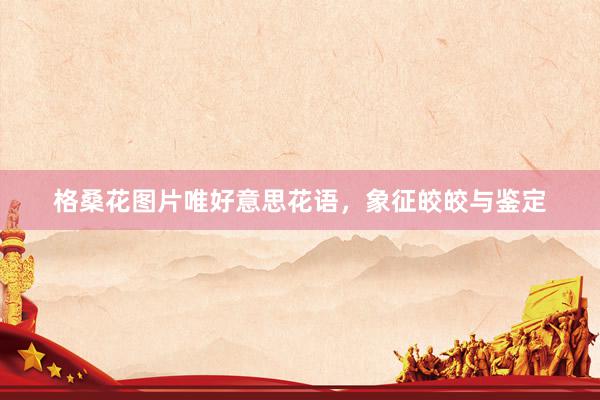 格桑花图片唯好意思花语，象征皎皎与鉴定