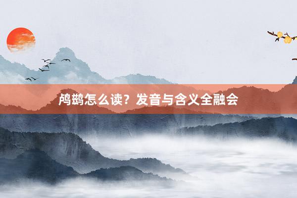 鸬鹚怎么读？发音与含义全融会
