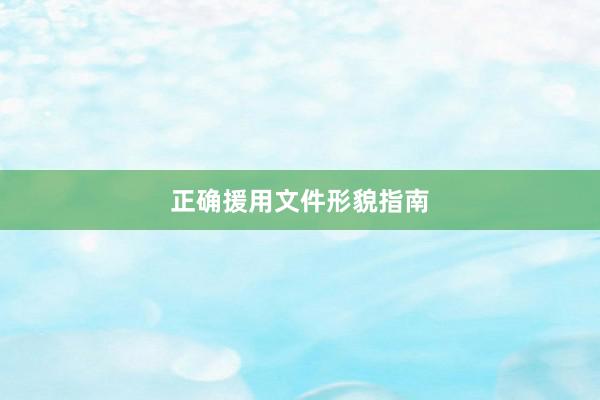正确援用文件形貌指南